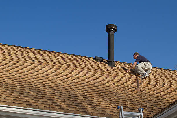 Best Metal Roofing Installation  in Lake Belvedere Estates, FL