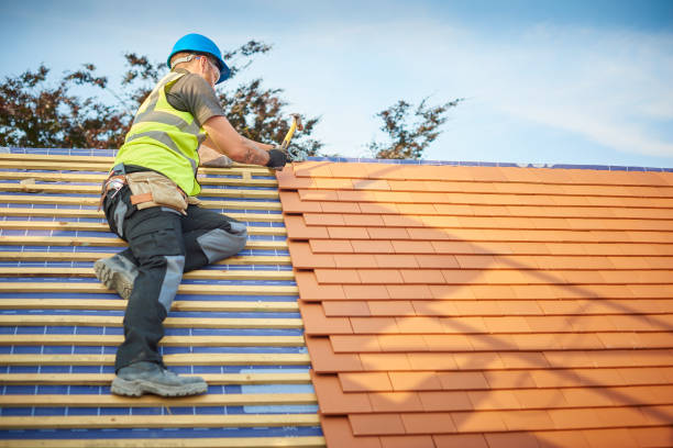 Best Skylight Installation and Repair  in Lake Belvedere Estates, FL